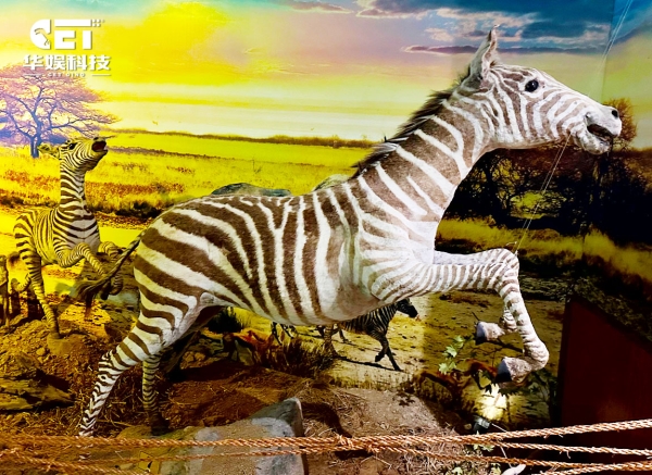 Acerca de Zebra (CET-A9)