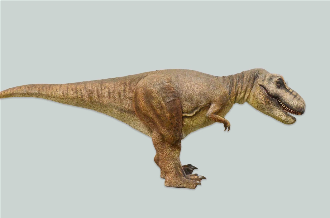 Handmade Real Texture T-Rex Costume Adult Dinosaur Suit for Commercial Activity Props