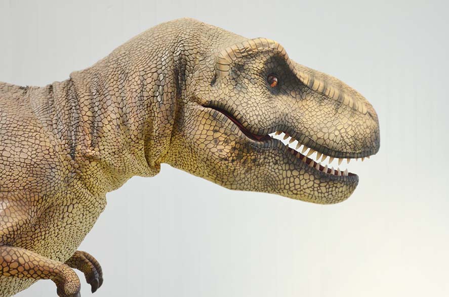 Handmade Real Texture T-Rex Costume Adult Dinosaur Suit for Commercial Activity Props