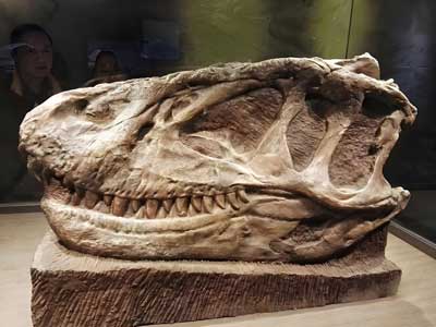 Hallazgos de dinosaurios entre enero y marzo de 2026