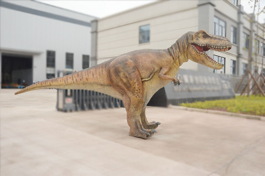 Lifelike Tyrannosaurus Rex Costume Real Dinosaur Skin Suit for Performance & Exhibition