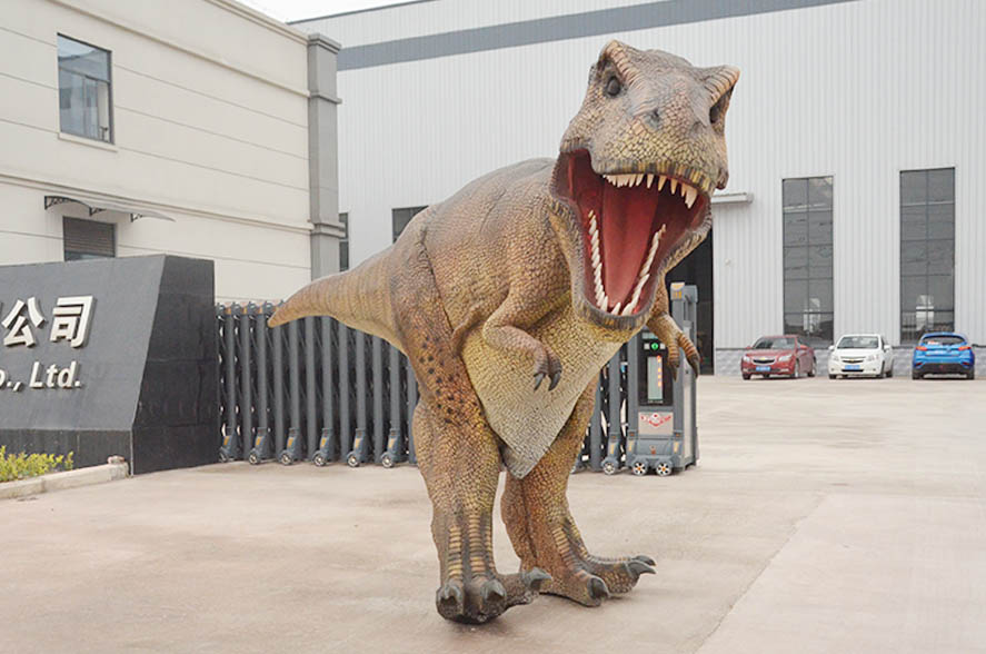 Lifelike Tyrannosaurus Rex Costume Real Dinosaur Skin Suit for Performance & Exhibition