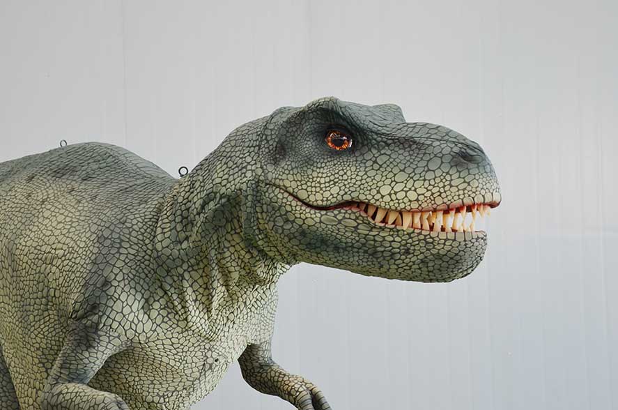 Walking T-Rex Skin Suit For Theme Park Exhibition