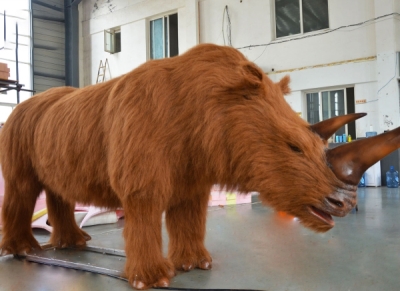 Woolly rhinoceros