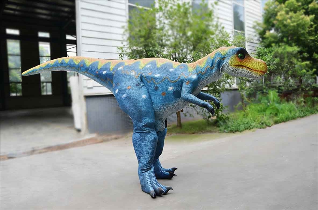 Comfort Fit Cartoon Dragon Stage Suit