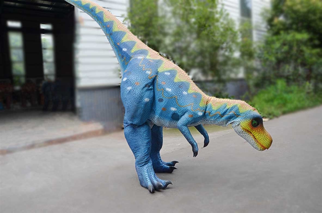 Comfort Fit Cartoon Dragon Stage Suit